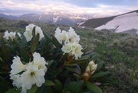 Летопись похода Кавказ Нижний Архыз - Верхняя Теберда Летопись похода Кавказ Нижний Архыз - Верхняя Теберда